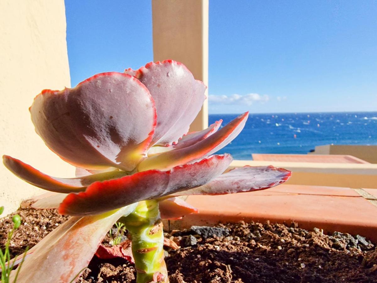 Medano4You The Ocean Terrace Penthouse 厄尔梅达诺 外观 照片